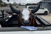 El toro loco-toros mecanicos en Orange County
