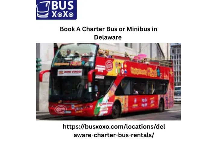 Book A Charter Bus or Minibus image 1