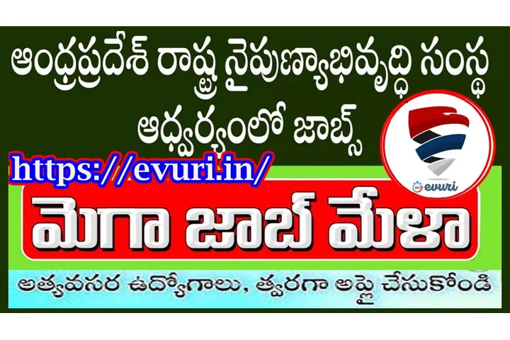 FullTime/PartTimeHomeBaseddata image 5