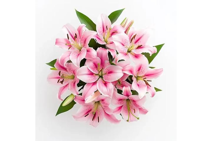 Rosas Premium y Arreglos image 7