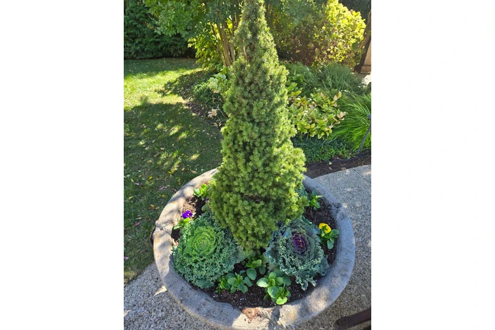 Professional Maintenance image 2