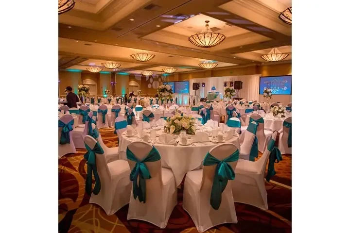 Celebrate your day in style! image 1