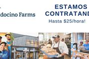 Cocineros/Lavaplato– Hasta $25 en Orange County