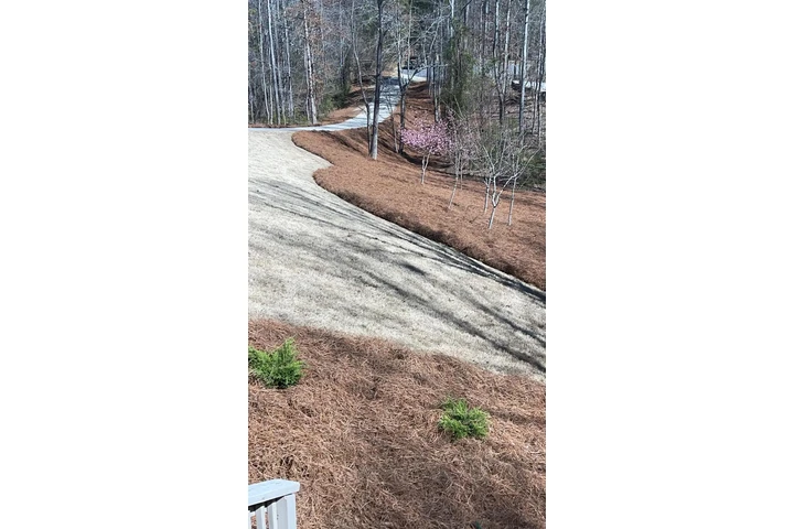 🌲MATIAS LAWN SERVICES🌲 image 6