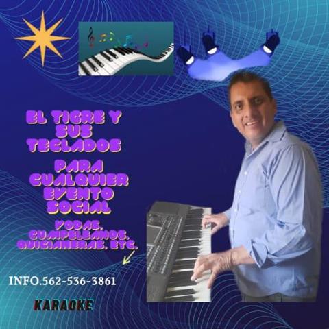 El Tigre ysus teclados Melodic image 1