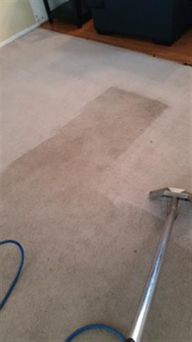 Roy's Carpet Cleaning image 3