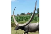 MANTENIMIENTO GENERAL thumbnail