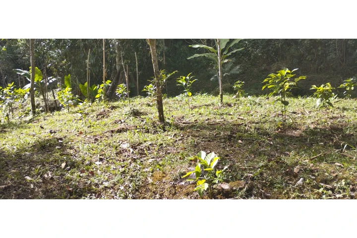 Venta de Finca en Supata image 8