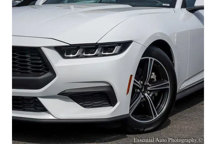 $34880 : Ford Mustang 2024 EcoBoost P image 4