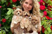 $700 : Maltipoo Puppies 5 thumbnail