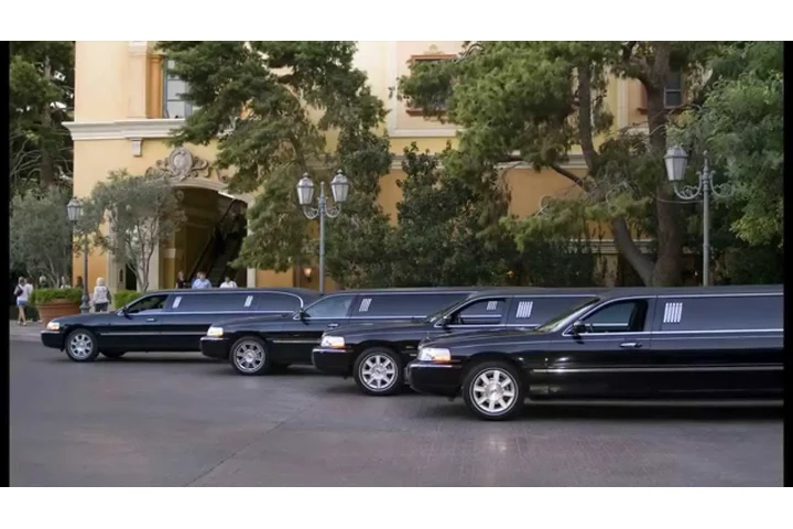 Hamptons Leisure Limo image 8