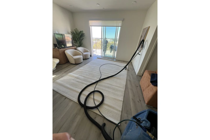 Carpet cleaner image 3