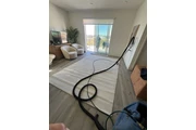 Carpet cleaner thumbnail