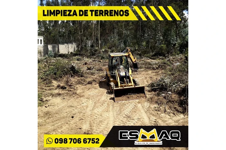 Extracción de troncos image 10