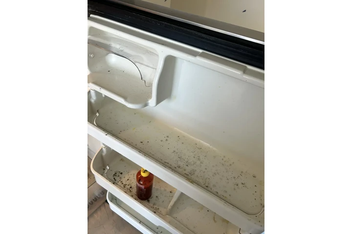 ✨ Professional Cleaning image 3