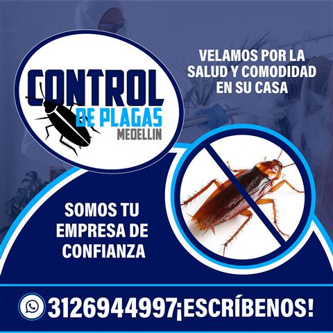 Control de plagas Medellín image 1