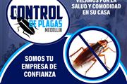 Control de plagas Medellín en Medellin