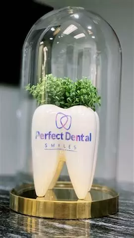 Perfect Dental image 1