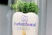 Perfect Dental