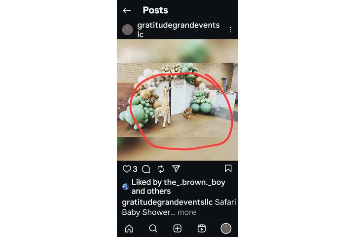 Carpas con draping mesas silla image 4