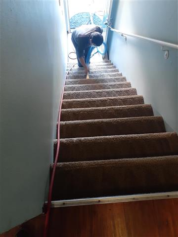 Roberto's carpet cleaning image 4