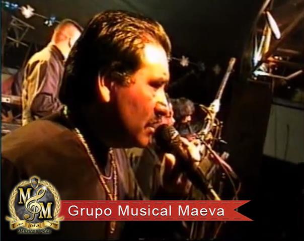 Grupo Musical Jarocho Guayacan image 8