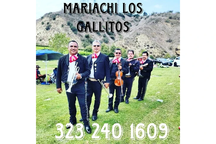 Mariachi Los Gallitos For Hire image 4