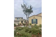 🌱✨ Palacios Landscaping ✨🌱 thumbnail