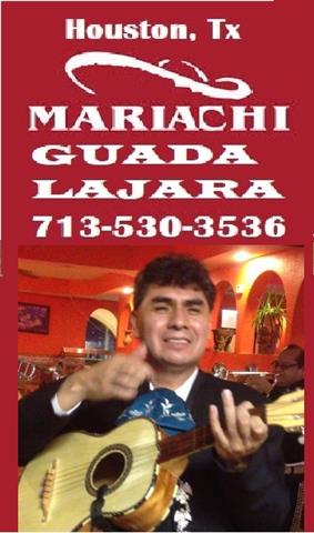 Mariachis en Houston Texas image 4