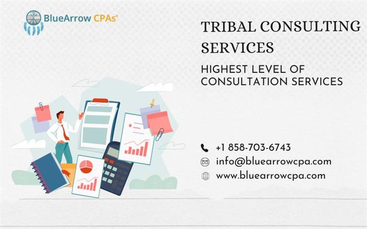 Tribal Consulting Services image 1