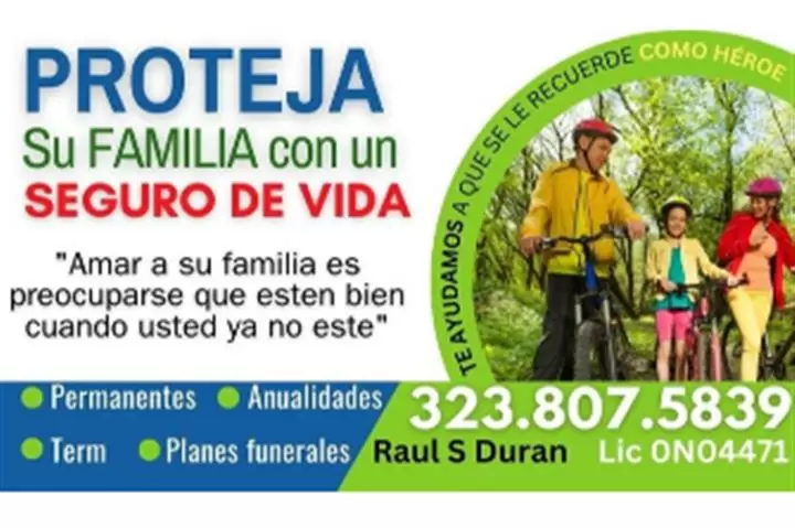 SEGUROS DE VIDA image 1