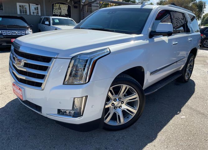 2019 Escalade 2WD 4dr Luxury image 1