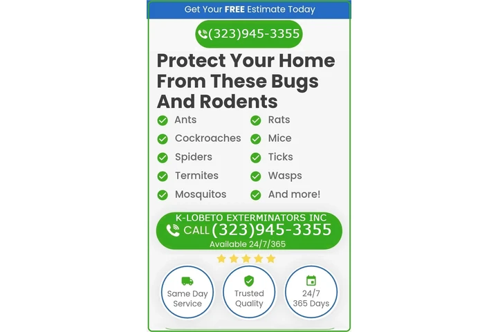 PEST CONTROL SERVICES 24/7.- image 4