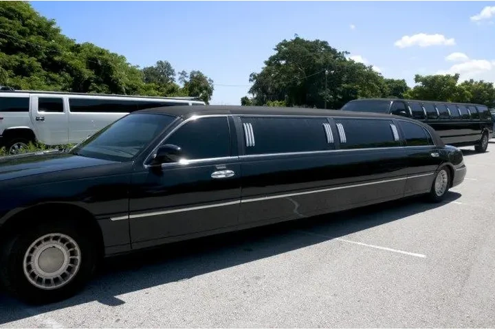 Hamptons Leisure Limo image 5