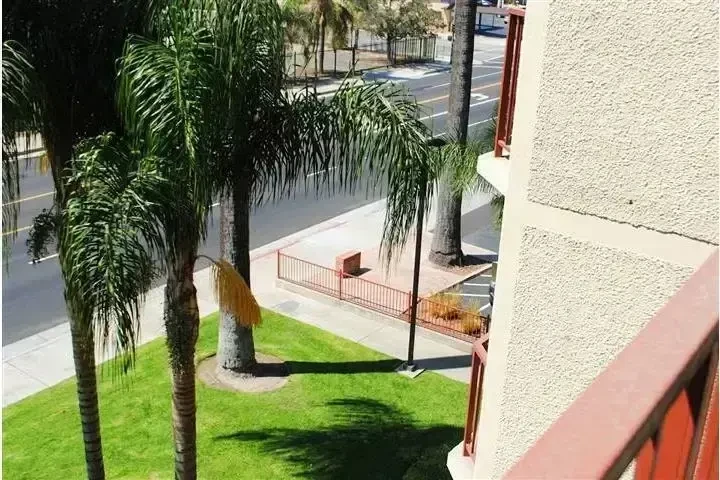 SENIOR 62+ COMMUNITY image 6