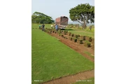 VENTA DE PASTO SAN AGUSTÍN thumbnail