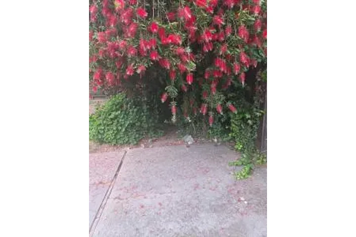 Fredy’s House Cleaning image 4