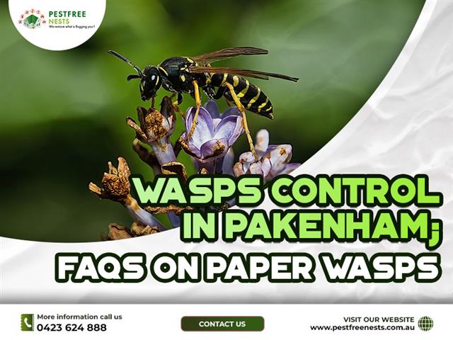 Pest Control Melbourne image 5