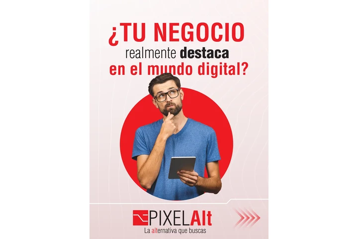 Profesional | PixelAlt image 3
