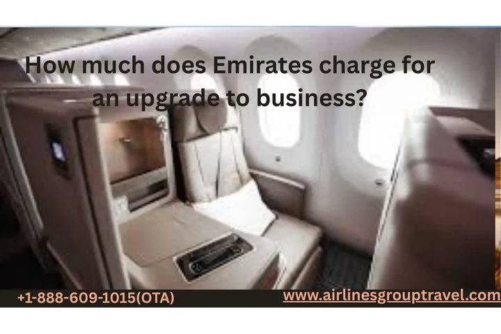 How much does Emirates charge image 1