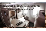 How much does Emirates charge en Wilmington