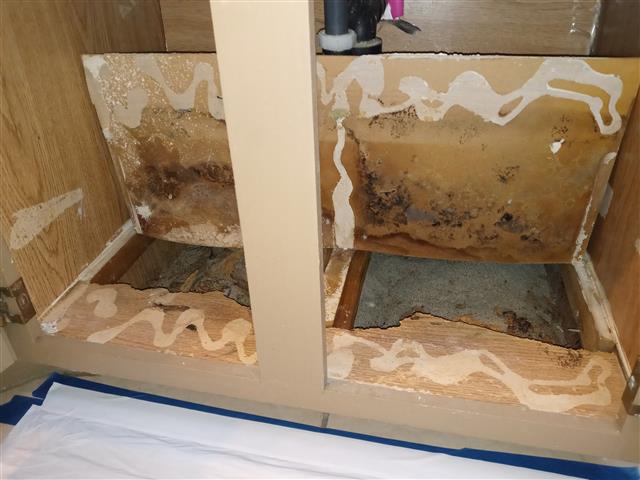 MOLD REMEDATION & PAINT image 3