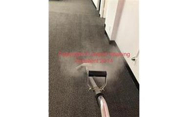 Carpet Cleaning labado A vapor image 4