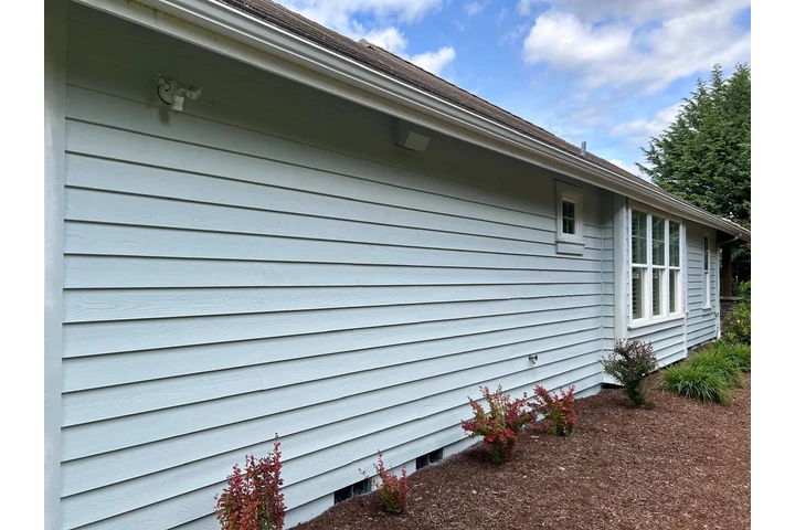 Painting Services image 1