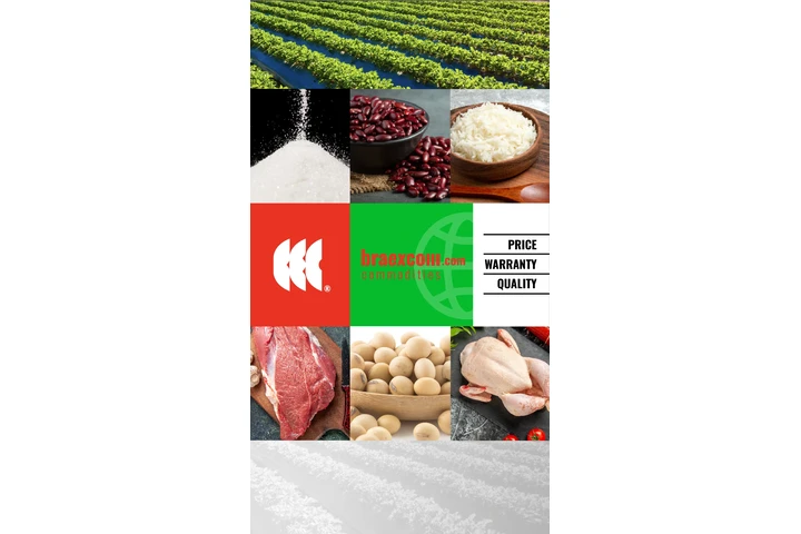 BRAEXCOM Commodities 💪🏼✅ Bra image 1