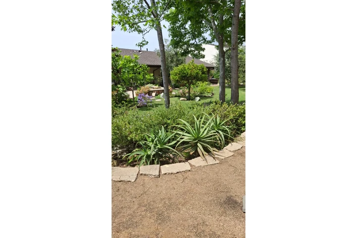 California Gardening image 7