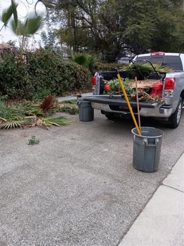 CANALEZ GARDENING SERVICES image 3