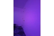 $900 : A Room for Rent in a House! thumbnail
