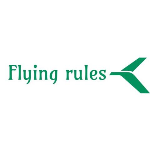 Flying Rules image 1