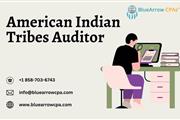 American Indian Tribes Auditor